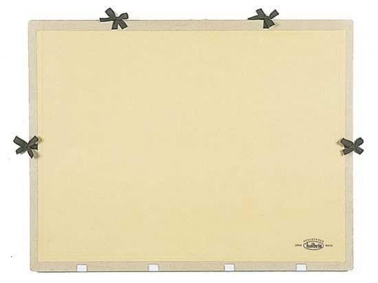 ホルベイン カルトン No.1 (全判 W) 320101