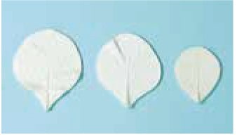 506 いちご葉脈 (サン工業 ※旧 日清アソシエイツ)