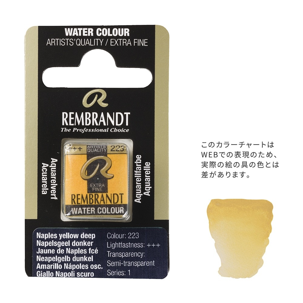 【在庫限り】レンブラント固形水彩 223 ネープルスイエローディープ (T0586223-1)
