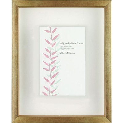 クリアボックスフレーム シャンパンゴールド 大衣(たいころ)サイズ (394×509mm)  APJ アートプリントジャパン