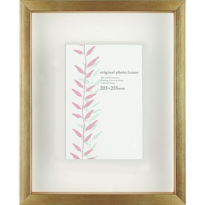 クリアボックスフレーム シャンパンゴールド 大衣(たいころ)サイズ (394×509mm)  APJ アートプリントジャパン