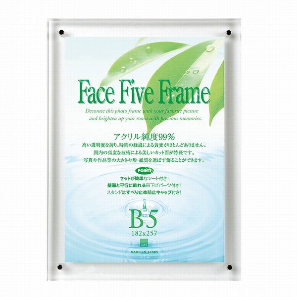 APJ フォトフレーム フェイスファイブフレーム クリア B5サイズ（182×257mm）