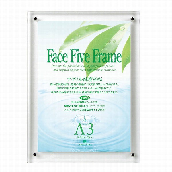 APJ フォトフレーム フェイスファイブフレーム クリア A3サイズ（297×420mm）