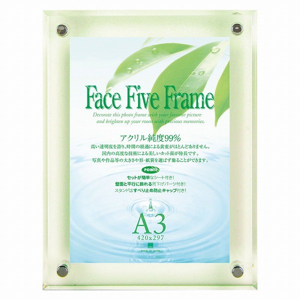 APJ フォトフレーム フェイスファイブフレーム グリーン A3サイズ（297×420mm）