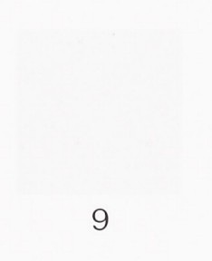 ナカガワ胡粉絵具 天然　純方解末 100g  9 中目 品番07730