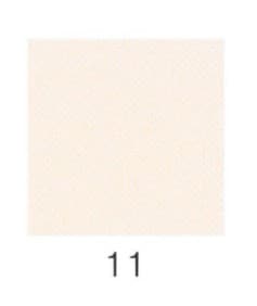 ナカガワ胡粉絵具 天然　岩肌 100g 11 細目 品番07520