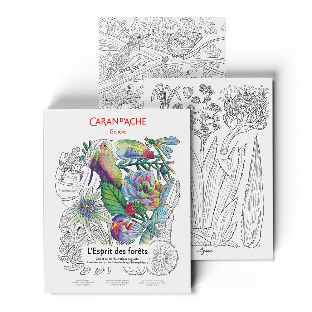 カラン ダッシュ 0454-802 コロリアージュ フォレスト 塗り絵ブック 687323