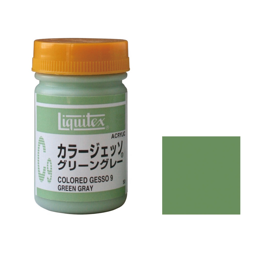 6個セット リキテックス  カラージェッソ  50ｍＬ  Ｃ9  グリーングレー  (16300509)