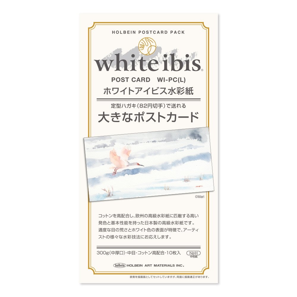 5冊セット ホワイトアイビス水彩紙 大きなポストカード 300g 中目 WI-PC(L) (270478) ホルベイン HOLBEIN ホルベイン HOLBEIN