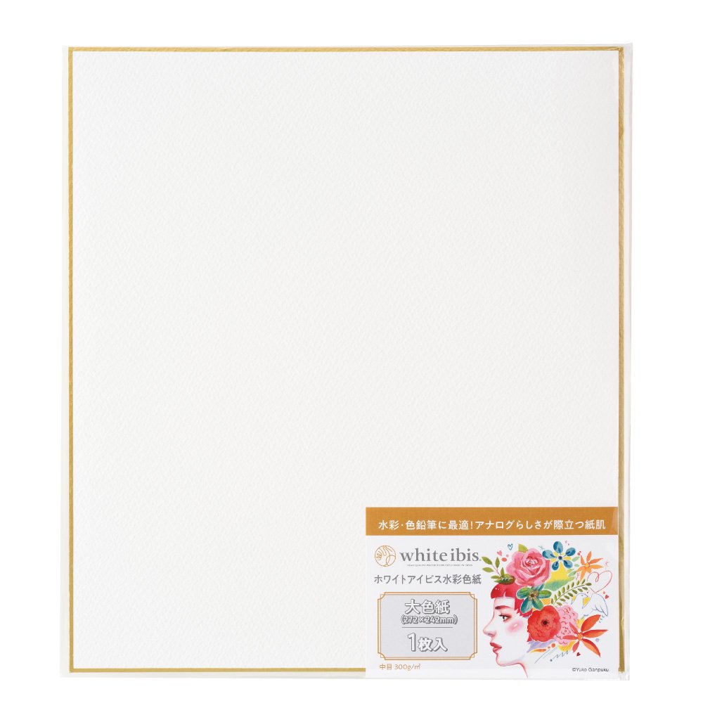 10個セット ホワイトアイビス水彩色紙 大色紙 300g 中目 WSK-01 (271331) ホルベイン HOLBEIN ホルベイン HOLBEIN