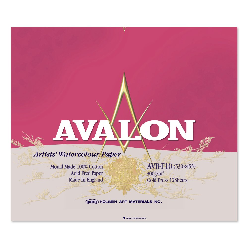 3冊セット アヴァロン水彩紙 ブロック 300g 中目 AVB-F10 (271006) ホルベイン HOLBEIN ホルベイン HOLBEIN