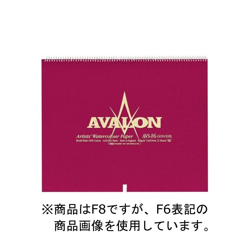 3冊セット アヴァロン水彩紙 スプリング 300g 中目 AVS-F8 (271125) ホルベイン HOLBEIN ホルベイン HOLBEIN