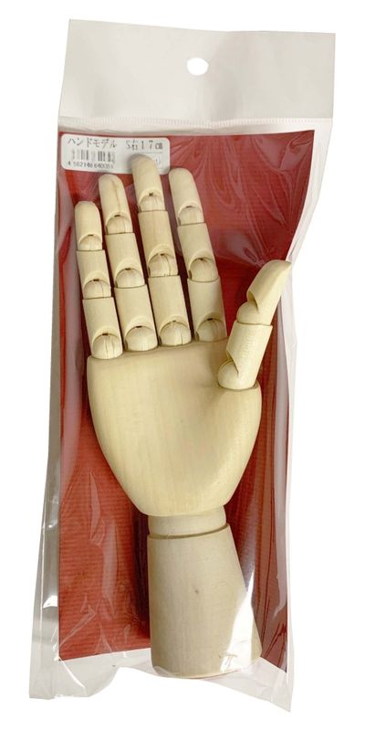 ラジカルアート ハンドモデル S 右 17cm