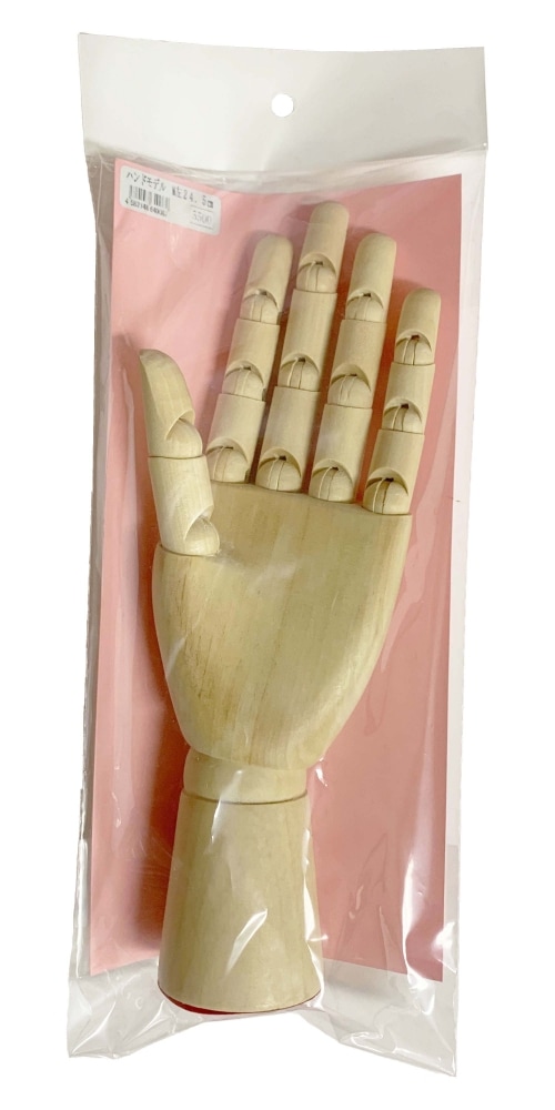 ラジカルアート ハンドモデル M 左 24.5cm