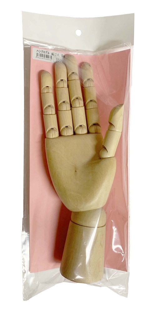 ラジカルアート ハンドモデル M 右 24.5cm