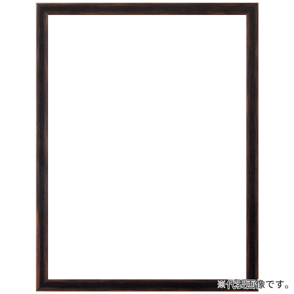 デッサン額縁 アンドーバー 黒 インチ 額内寸(254×203mm) 表面(アクリル) ラーソン・ジュール