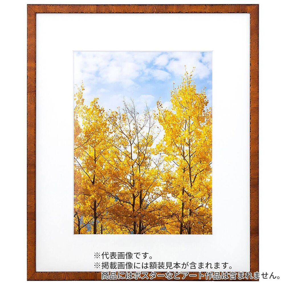 水彩額縁 カリマンタン オーク 水彩F4 額内寸(473×382mm) 表面(アクリル) ラーソン・ジュール