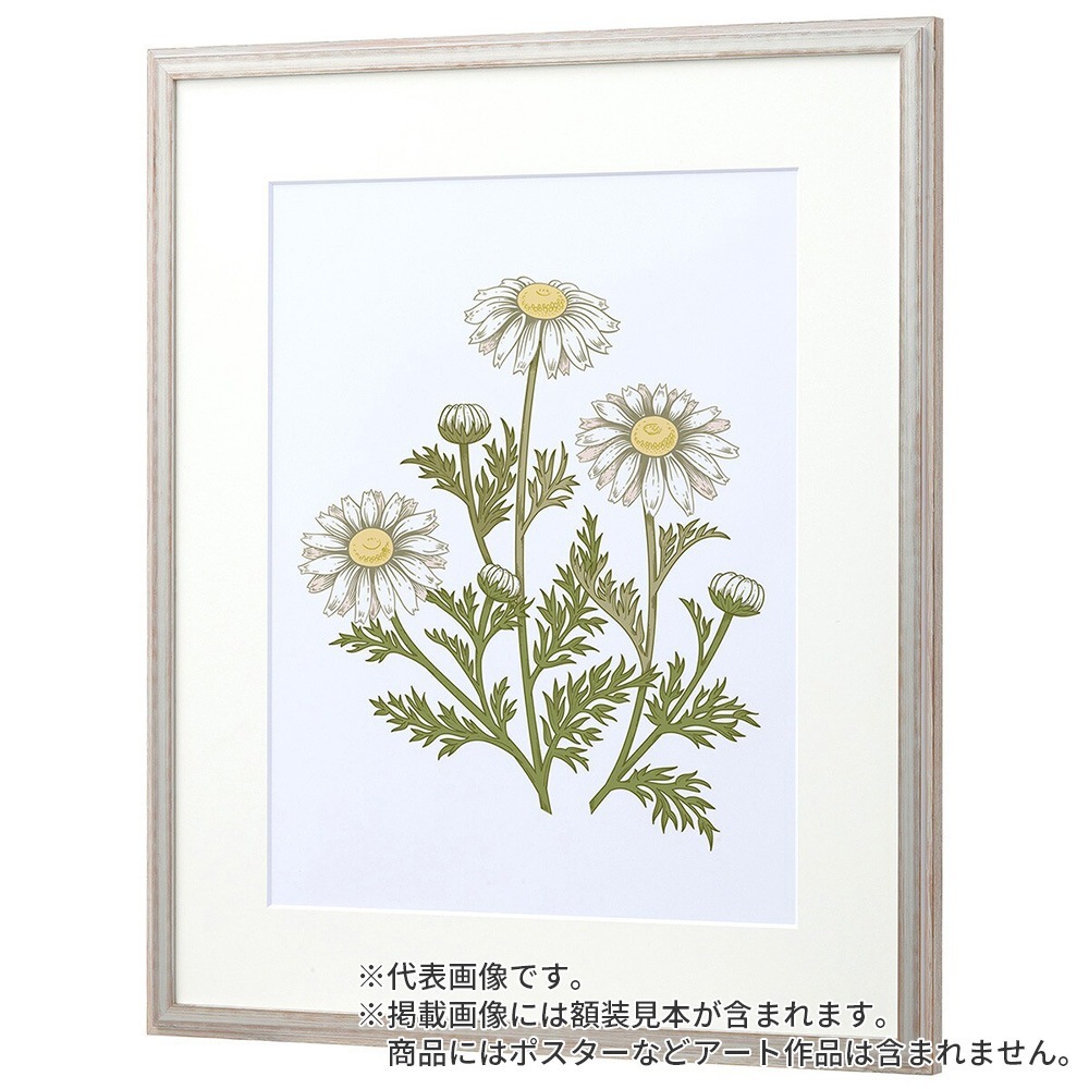 水彩額縁 朱雀 白S 水彩F4S 額内寸(443×352mm) 表面(アクリル) ラーソン・ジュール