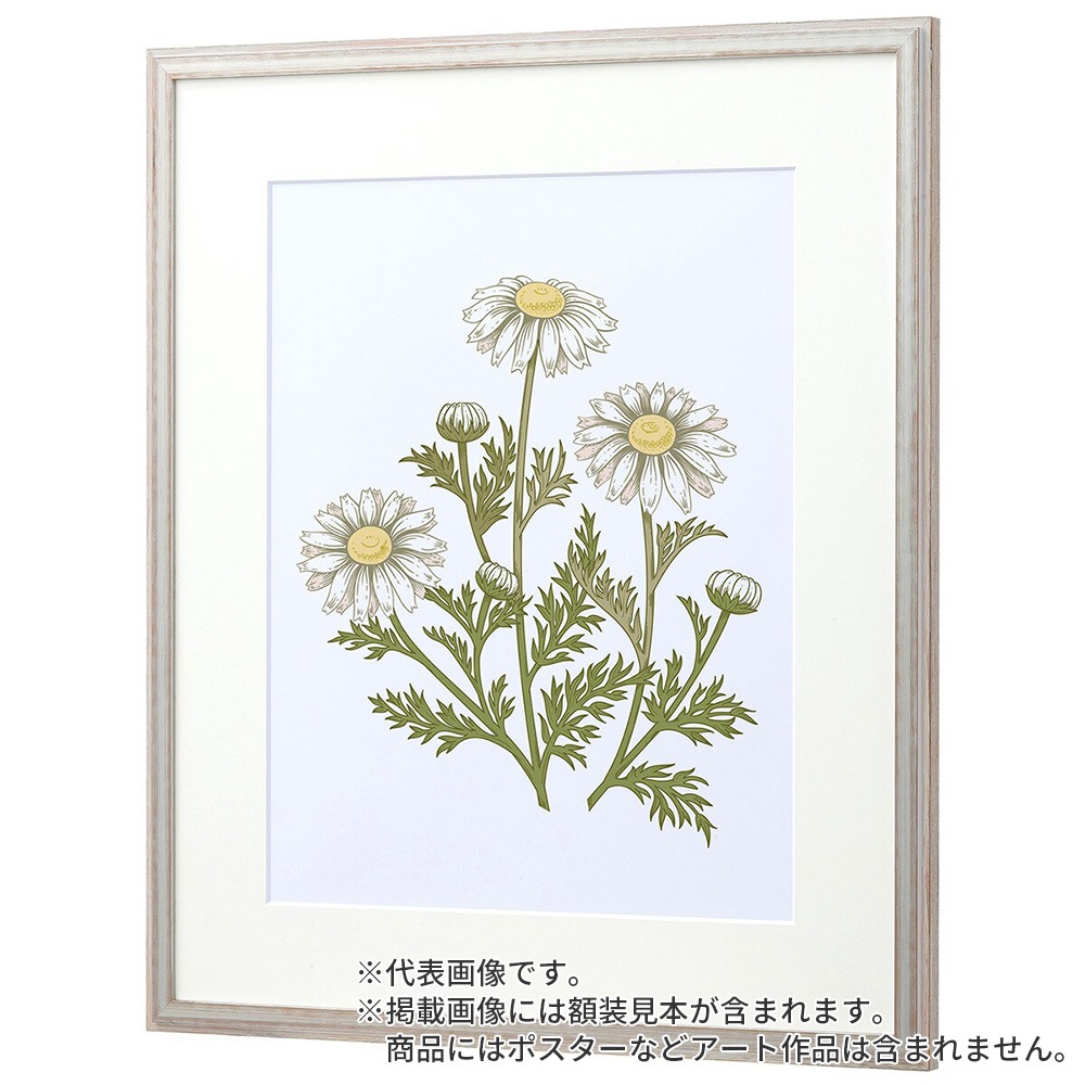 水彩額縁 朱雀 白S 水彩F8S 額内寸(565×490mm) 表面(アクリル) ラーソン・ジュール