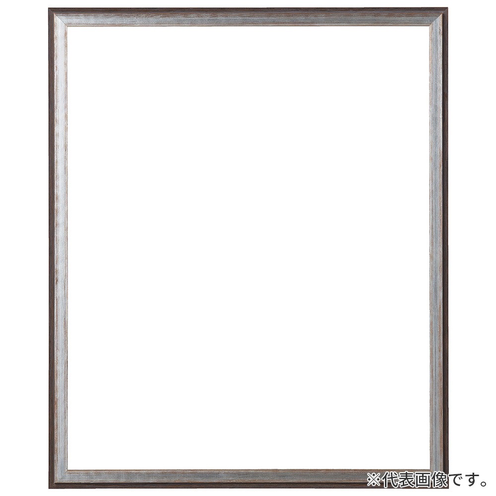 デッサン額縁 朱雀 黒S 太子 額内寸(379×288mm) 表面(アクリル) ラーソン・ジュール