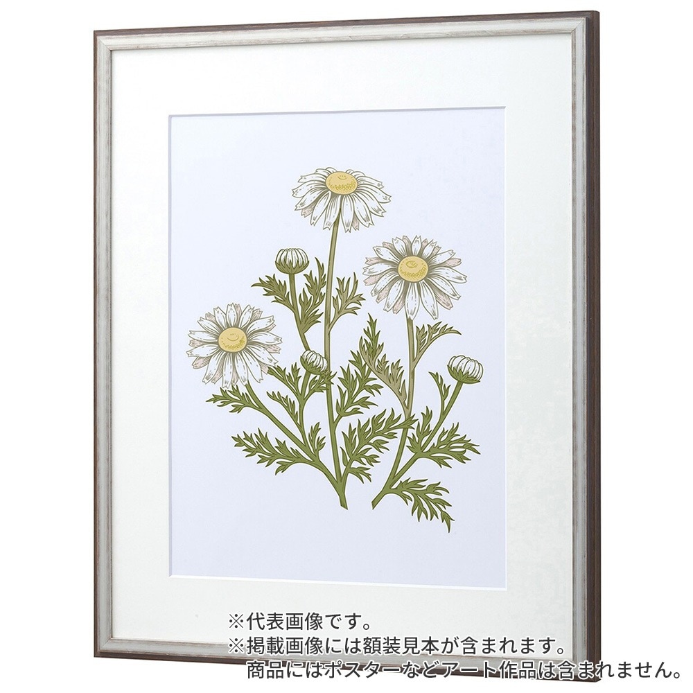 水彩額縁 朱雀 黒S 水彩F4S 額内寸(443×352mm) 表面(アクリル) ラーソン・ジュール