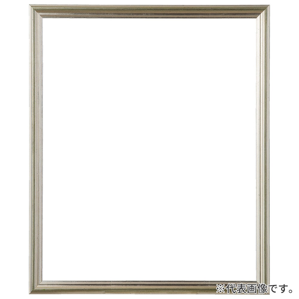 横長額縁 フォークストン S緑 50×25 額内寸(500×250mm) 表面(アクリル) ラーソン・ジュール