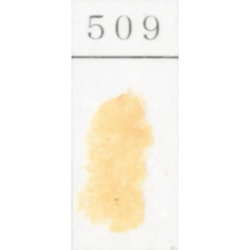 ゴンドラパステル 単色 509 (2個入) 王冠化学工業所 GONDOLA PASTEL