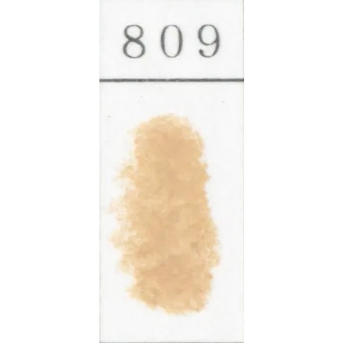 ゴンドラパステル 単色 809 (2個入) 王冠化学工業所 GONDOLA PASTEL