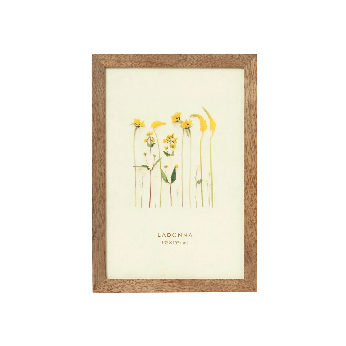 ラドンナ フォトフレーム(リビング) DF53-P-BR ポストカード判