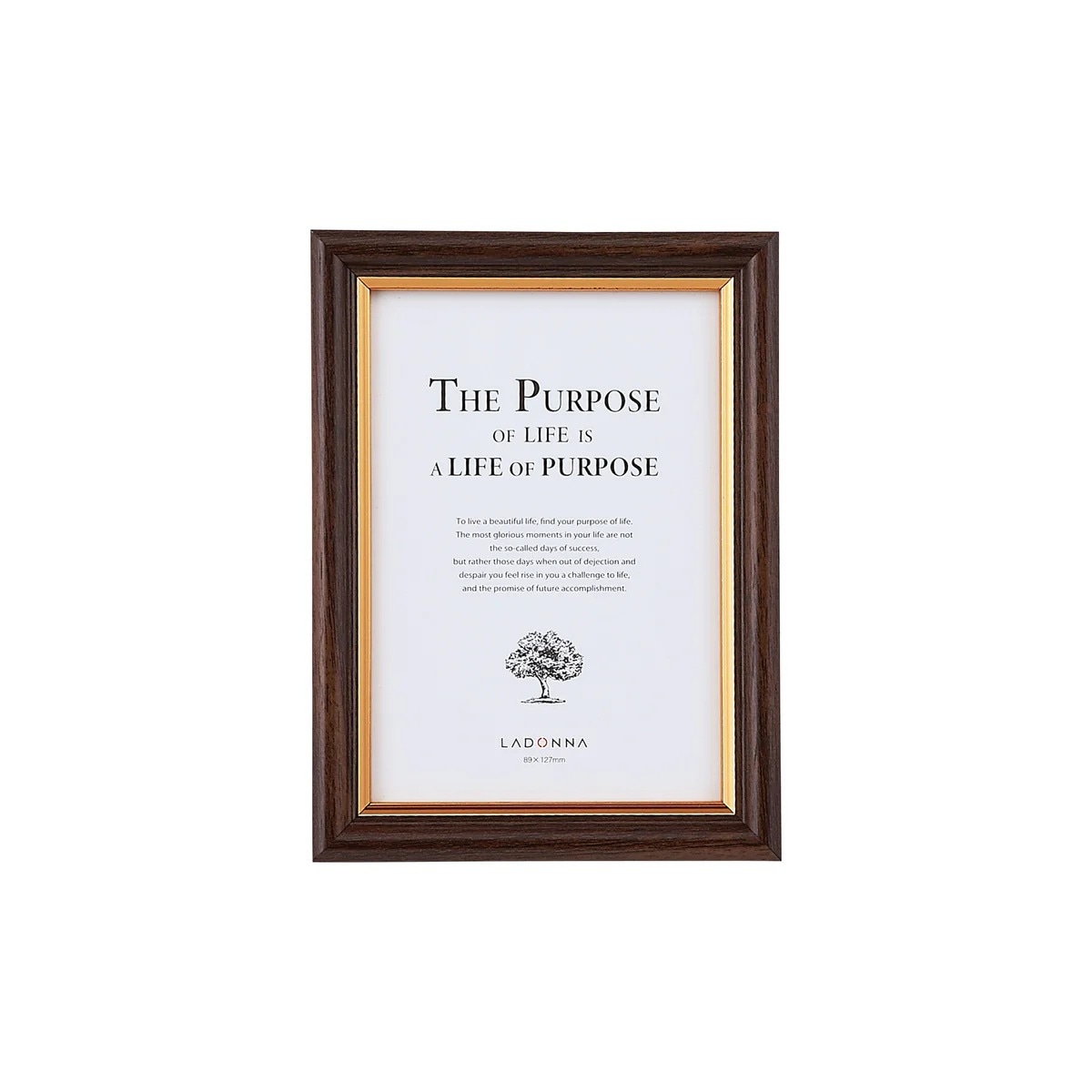 額縁、展示用品 | アークオアシス オンライン本店