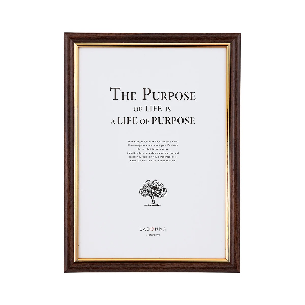 ラドンナ フォトフレーム(リビング) SF08-A4-DBR A4判