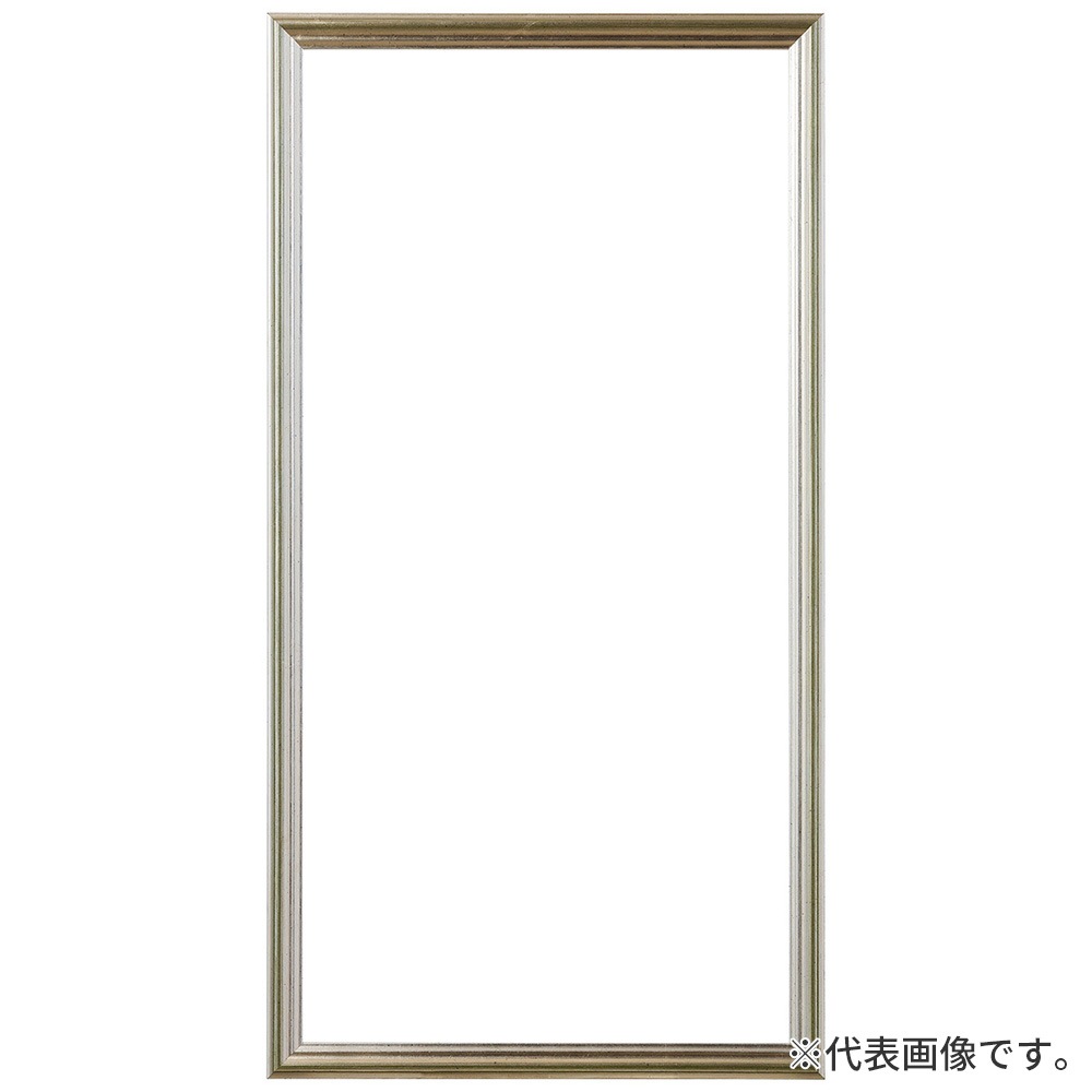 デッサン額縁 フォークストン S緑 小全紙 額内寸(660×510mm) 表面(アクリル) ラーソン・ジュール