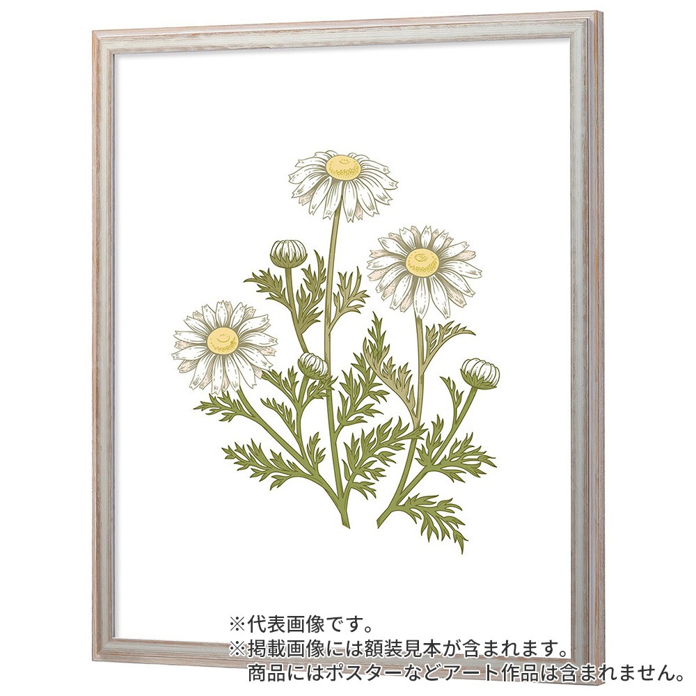 デッサン額縁 朱雀 白S 小全紙 額内寸(660×510mm) 表面(アクリル) ラーソン・ジュール