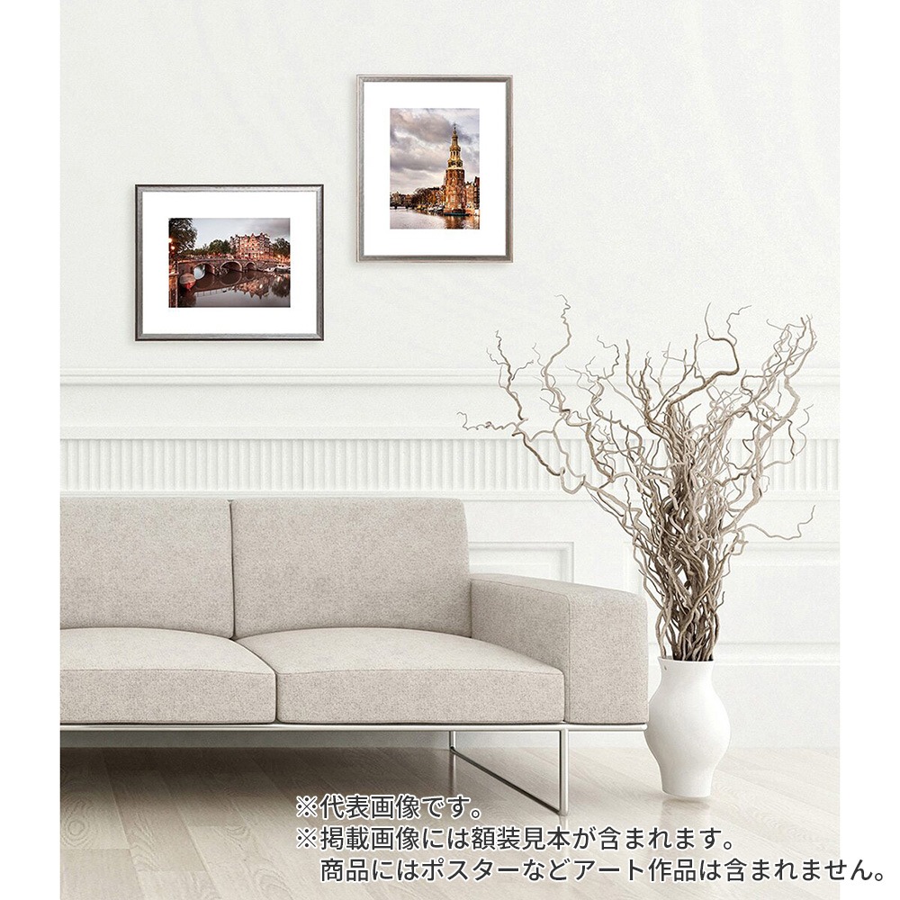 色紙額縁 朱雀 白S 色紙 額内寸(274×244mm) 表面(アクリル) ラーソン