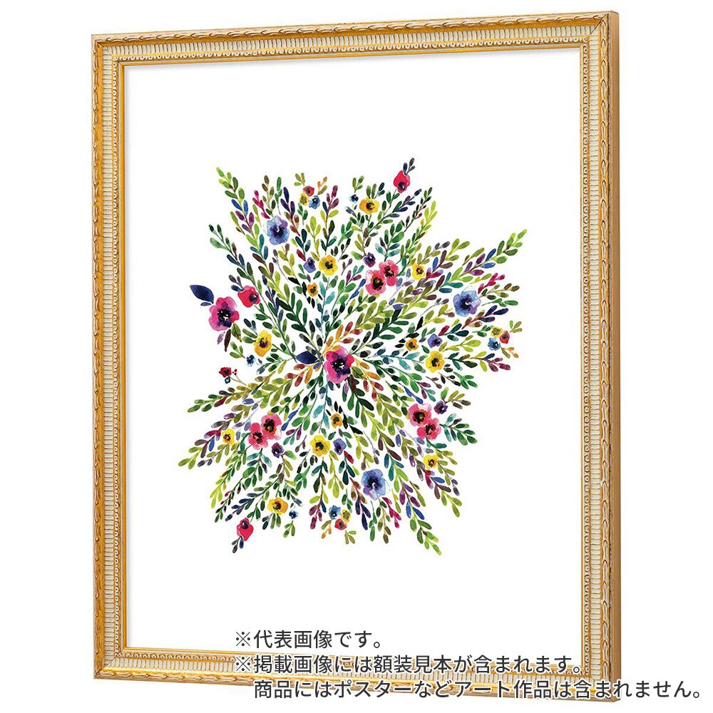 デッサン額縁 ベルリン 金 小全紙 額内寸(660×510mm) 表面(アクリル) ラーソン・ジュール