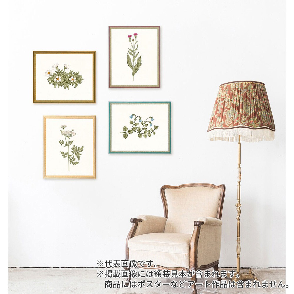 正方形額 マジョルカ Ｓピンク 50角 額内寸(500×500mm) 表面(アクリル) ラーソン・ジュール