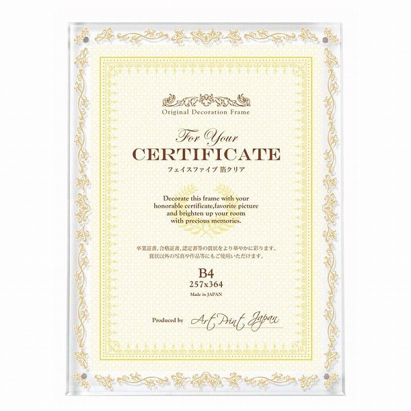 APJ フェイスファイブフレーム 箔クリア B4サイズ(257×364mm)