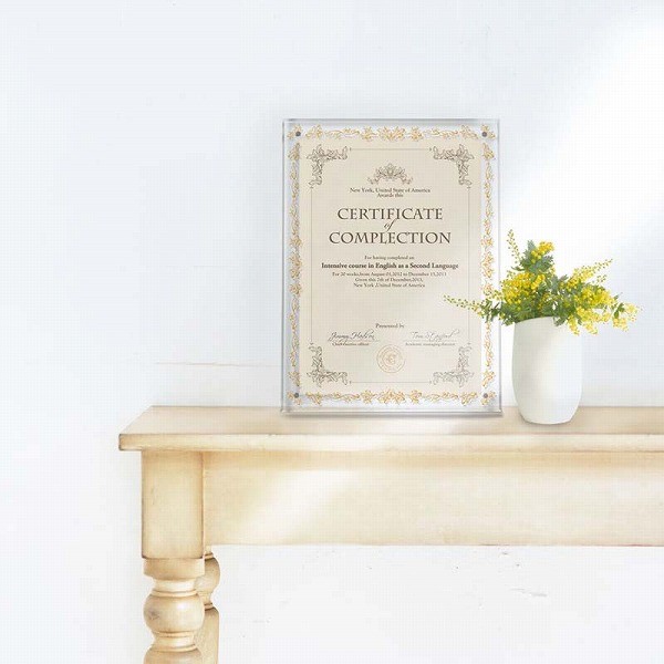 APJ フェイスファイブフレーム 箔クリア B4サイズ(257×364mm)