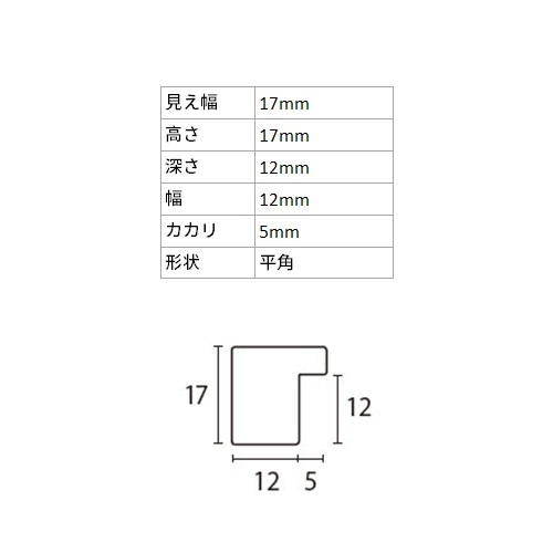 デッサン額縁 アンドーバー 黒 太子 額内寸(379×288mm) 表面(アクリル
