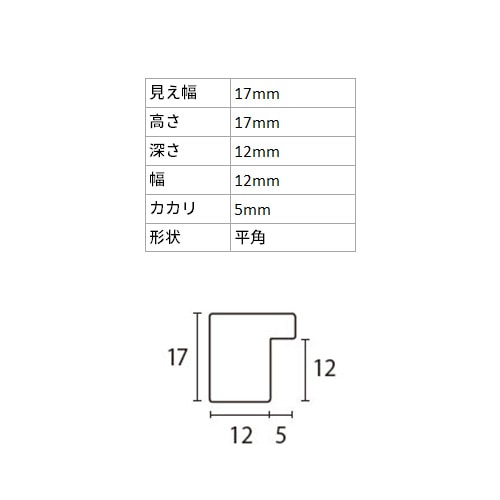 デッサン額縁 アンドーバー 黒 大衣 額内寸(509×394mm) 表面(アクリル