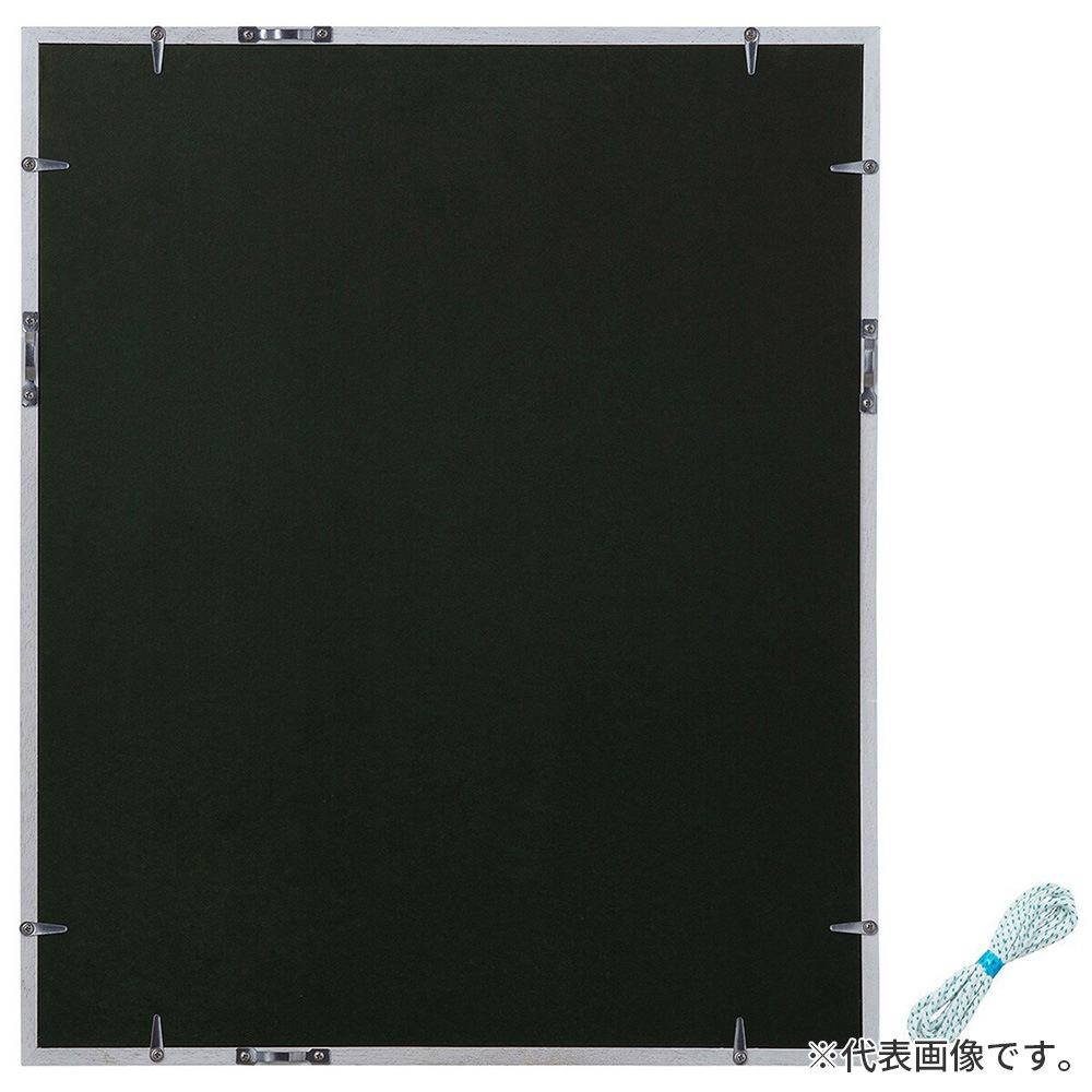 真実を忘れた眼1/10 限定10部絵画版画リビング室内部屋