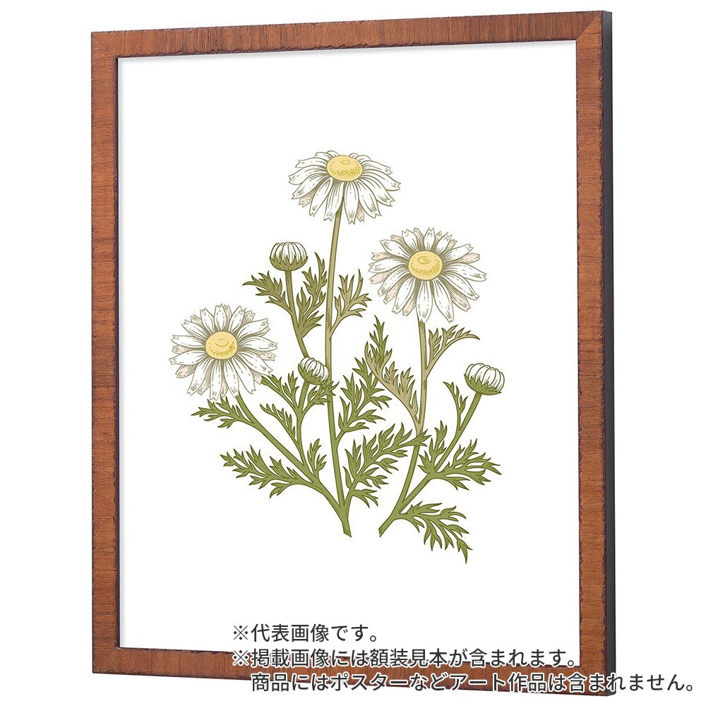 横長額縁 カリマンタン オーク 50×25 額内寸(500×250mm) 表面(アクリル) ラーソン・ジュール