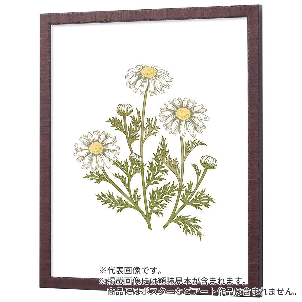 横長額縁 カリマンタン セピア 50×25 額内寸(500×250mm) 表面(アクリル) ラーソン・ジュール