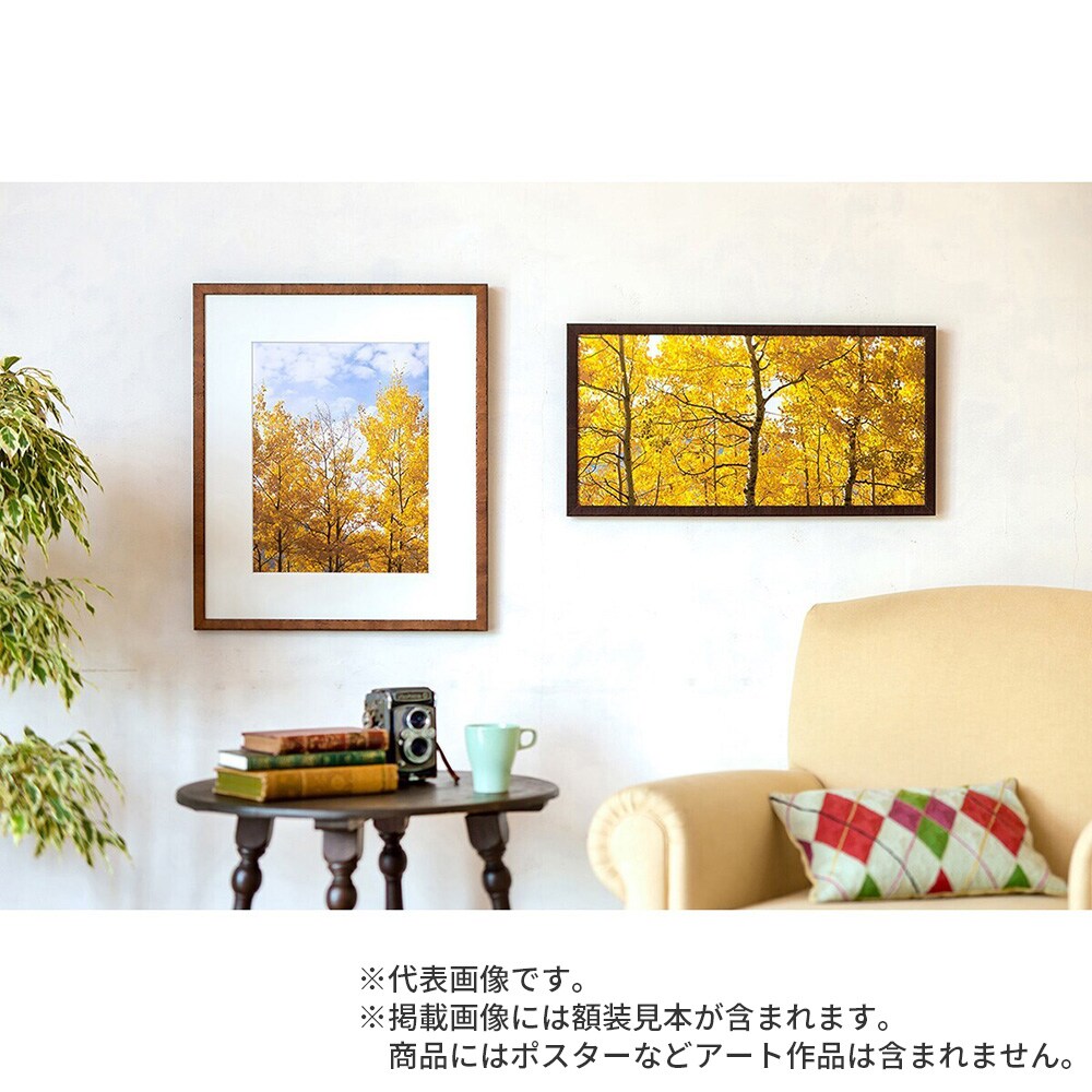 横長額縁 カリマンタン セピア 50×25 額内寸(500×250mm) 表面(アクリル) ラーソン・ジュール