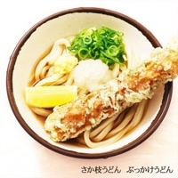 ボックスさか枝うどん4人前 PB－117 | 【サージュお任せ.com】