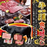 牛一頭食べ尽くし[目録・A4パネル付] | 【サージュお任せ.com】