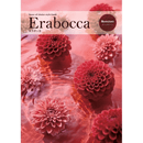 �����������եȡ�����ܥå����ࡼ�󥹥ȡ���������ѡ�