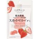 ڡۥ˥åݥ󥨡ڻ٥꡼40