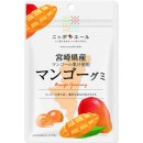 ڵܺۥ˥åݥ󥨡ܺ긩ޥ󥴡40