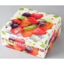 ȥƥǥƥХå40異ȥåȡե롼(2437-538)